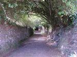 Camino de Santiago
